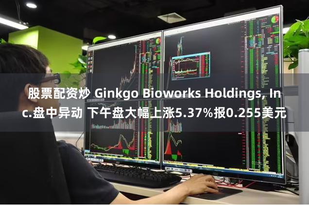 股票配资炒 Ginkgo Bioworks Holdings, Inc.盘中异动 下午盘大幅上涨5.37%报0.255美元